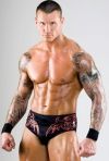 randy orton pics full sleeve tattoo